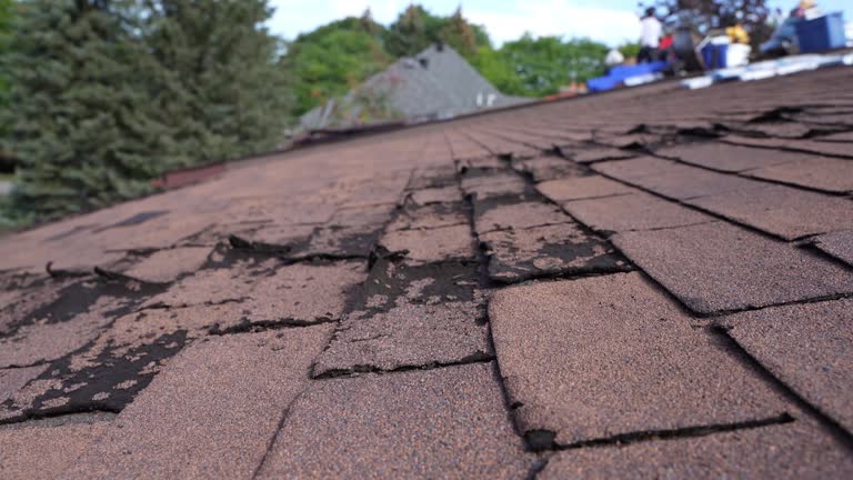 Best Roof Insulation Installation  in South Les, AK