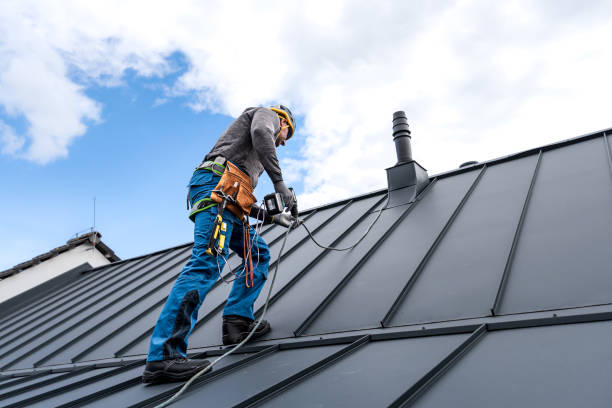  South Les, AK Roofing Service Pros